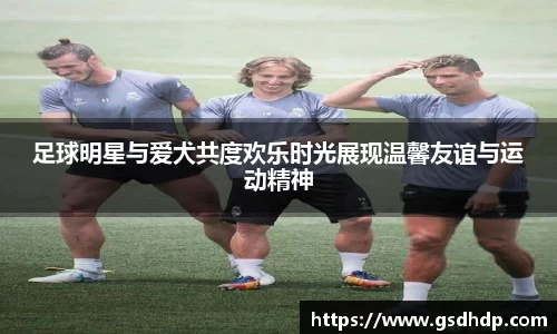 芒果体育官方网站